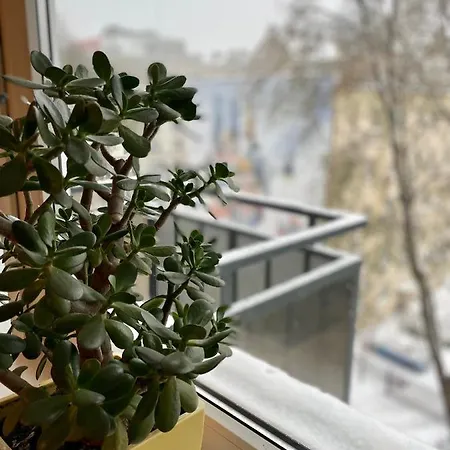 Chmielna Centrum Lägenhet *